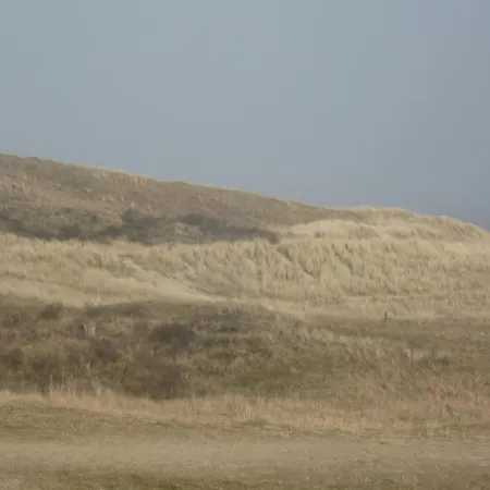Thuis Bij Frans En Els * De Cocksdorp (Texel)
