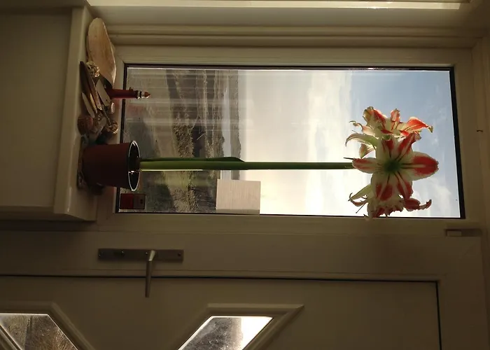 Bed and breakfast Thuis Bij Frans En Els De Cocksdorp (Texel)