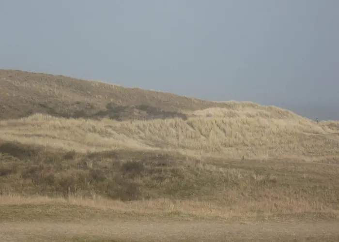 Thuis Bij Frans En Els * De Cocksdorp (Texel)