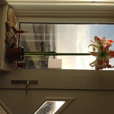 B&B Thuis Bij Frans En Els 더콕스도르프